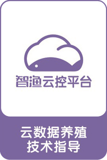 &#20061;&#28216;&#32593;&#39029;&#29256;&#30331;&#24405;&#20837;&#21475;&#45;&#20061;&#28216;&#40;&#20013;&#22269;&#41;